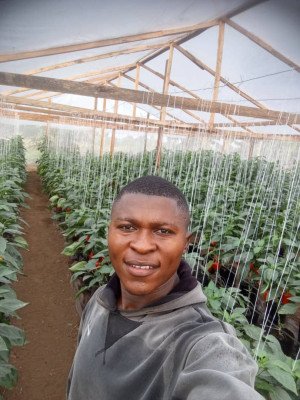 Paul Mbanyamsig, Stanley Farms Limited